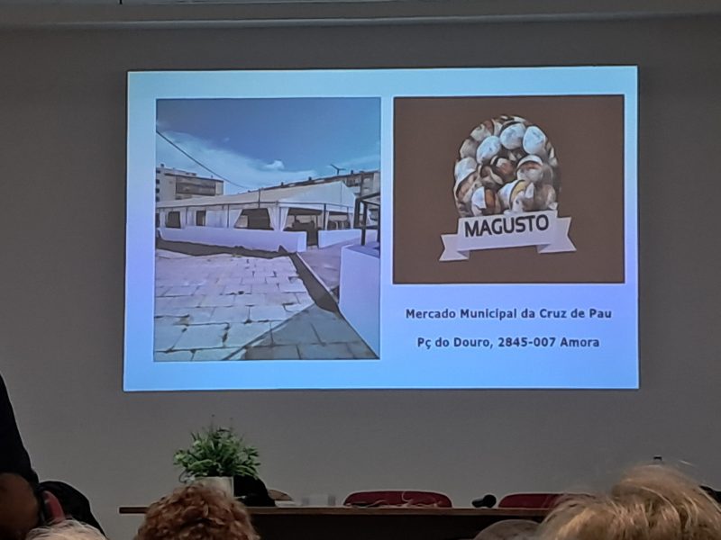 Palestra Variação PIB desde 1975